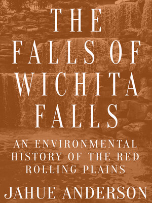 cover image of The Falls of Wichita Falls